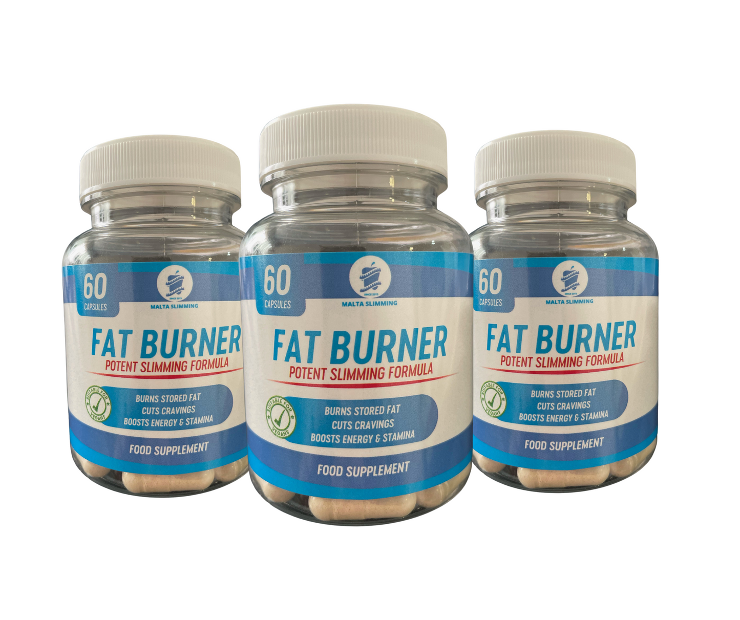 Fat Burner 3-Month Supply